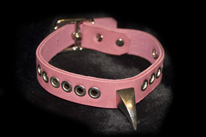 eyelets with claw spike leather choker